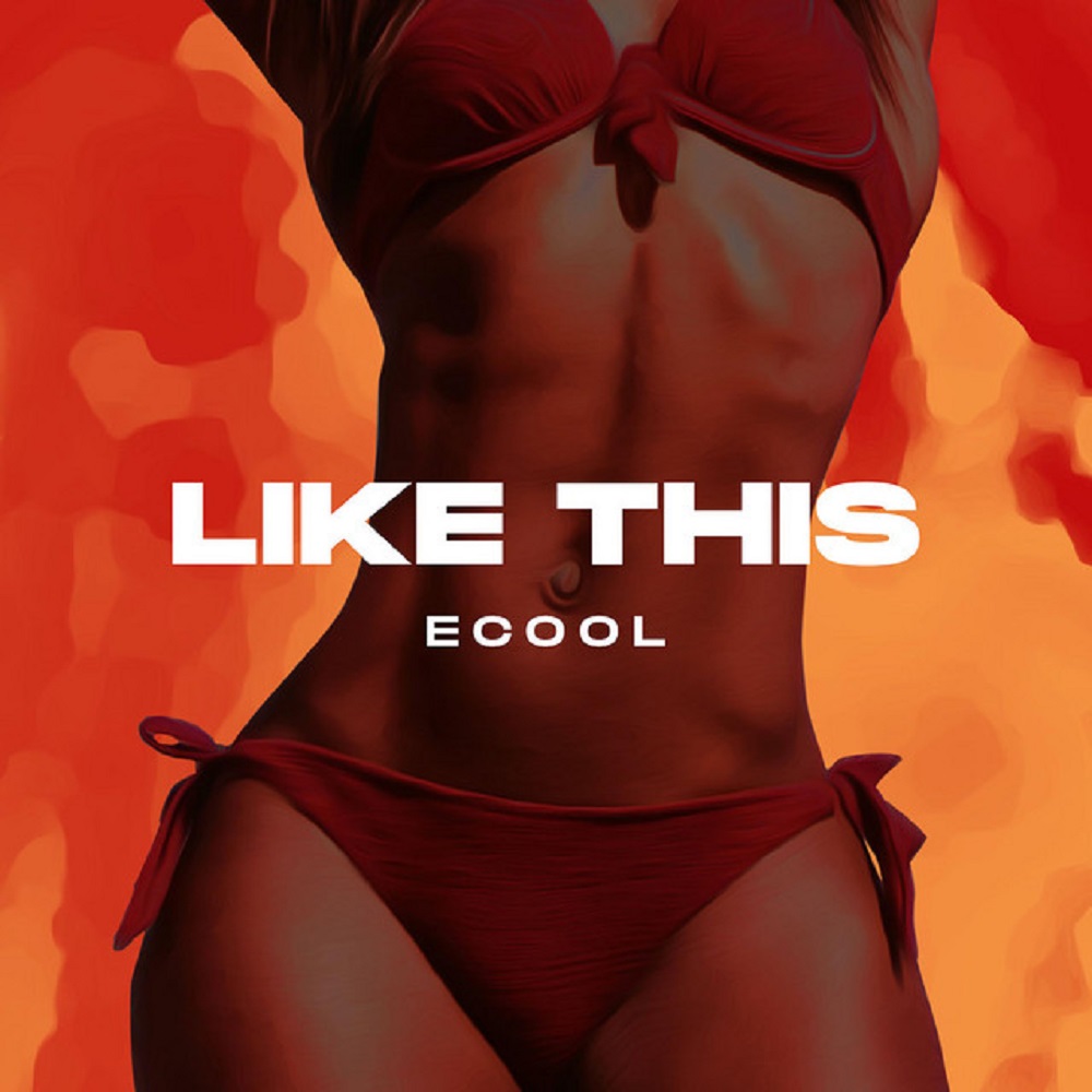 DJ Ecool Like This