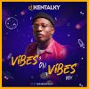 DJ Kentalky Vibes On Vibes Mix
