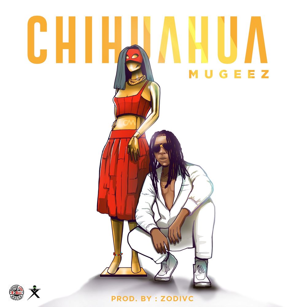 Mugeez Chihuahua