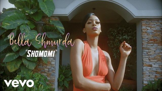 Bella Shmurda Sho Mo Mi Video