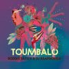 Boddhi Satva & DJ Maphorisa Toumbalo