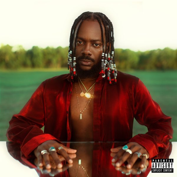 Adekunle Gold shows versatility on Afro Pop Vol.1 Album Review