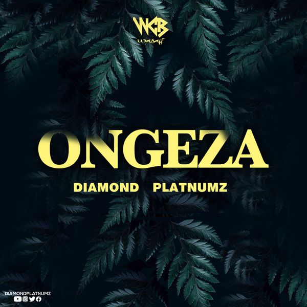 Diamond Platnumz Ongeza