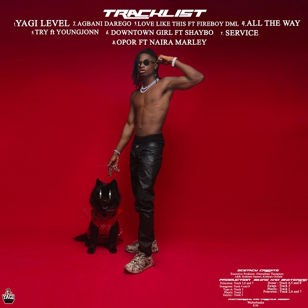 Lil Kesh Ecstasy Tracklist