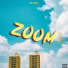 Lil Kesh Zoom (Cover)