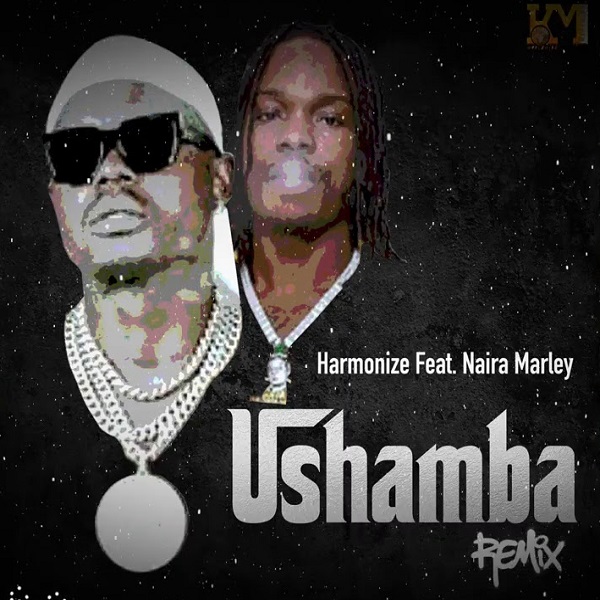 Harmonize Ushamba (Remix)