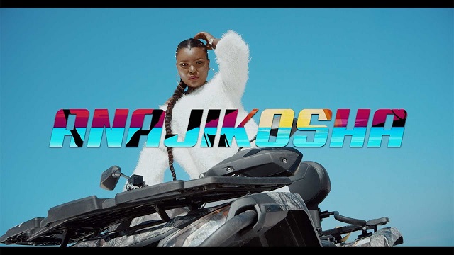 Harmonize Anajikosha Video