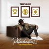 Teephlow KO