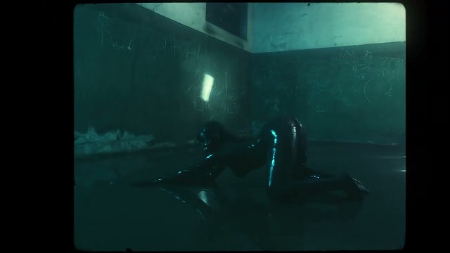 Zoro DTTM (Oneme) Video