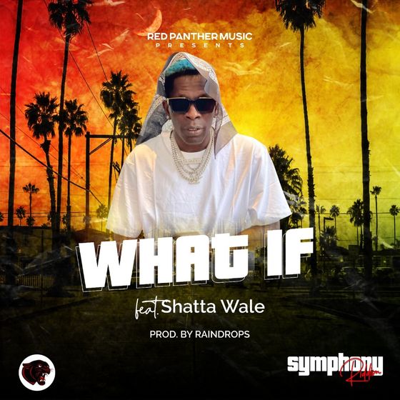 Shatta Wale What If