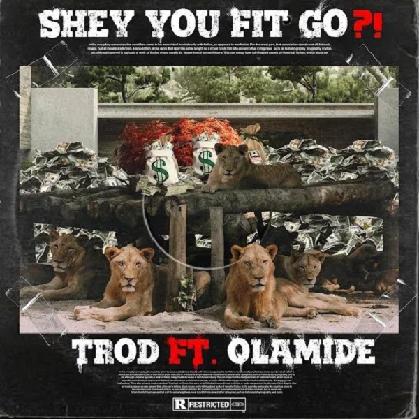 TROD Shey You Fit Go