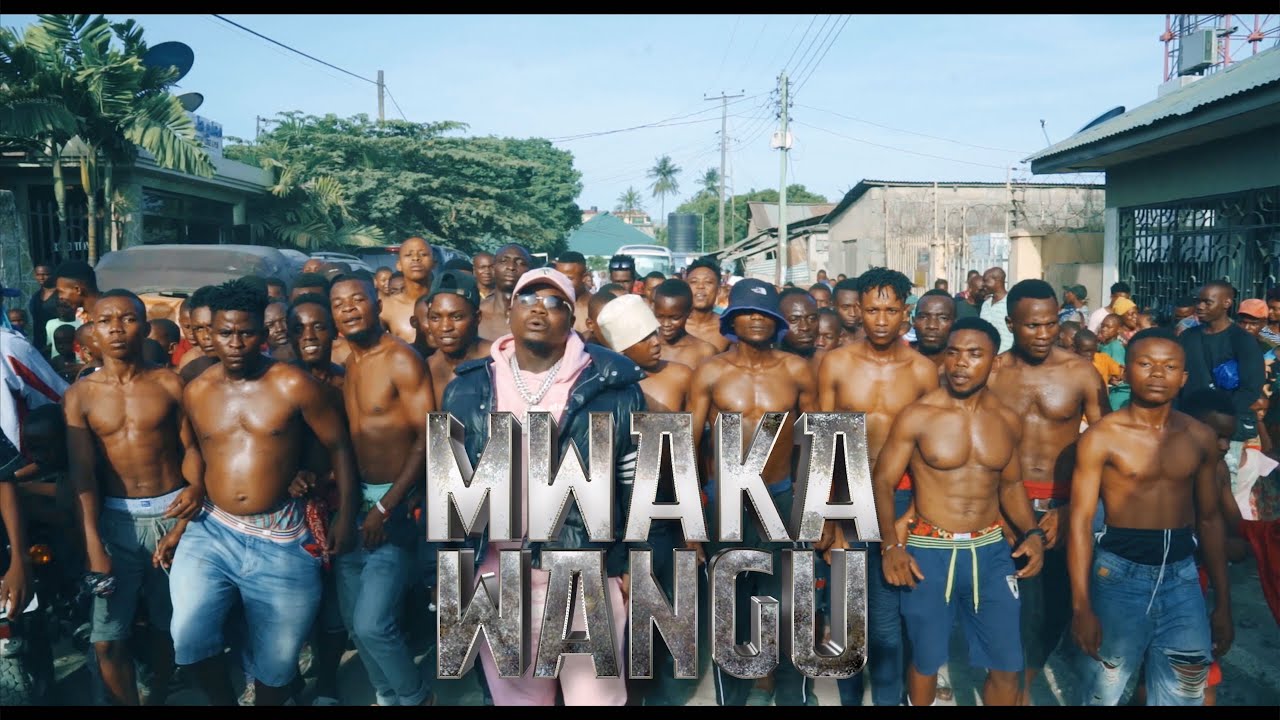 Harmonize – Mwaka Wangu (Video)