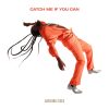 Adekunle Gold Catch Me If You Can ALBUM