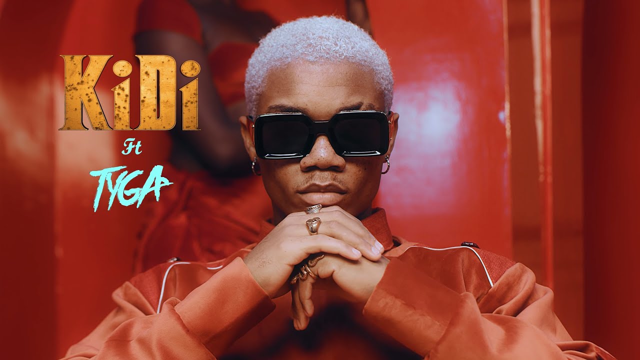 KiDi – Touch It (Remix) ft. Tyga [Video]