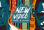 Zoro New Video