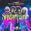 Camidoh Sugarcane Remix Lyrics