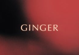 King Promise Ginger
