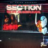 Kranium Section