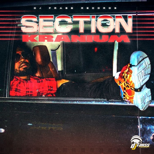 Kranium Section