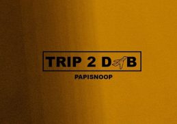 Papisnoop Trip To DXB