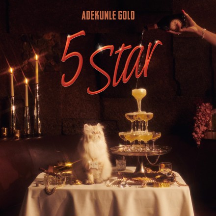 Adekunle Gold 5 Star