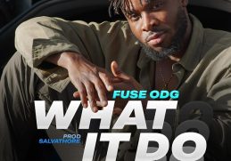 Fuse ODG What It Do