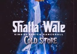 Shatta Wale Cold Store