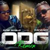 Eltee Skhillz ODG Remix