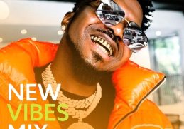 New Vibes Mix ft Skiibii on Mdundo