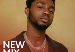 Download Omah Lay Finest Mix on Mdundo