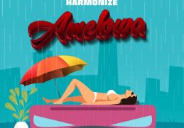 Harmonize Amelowa