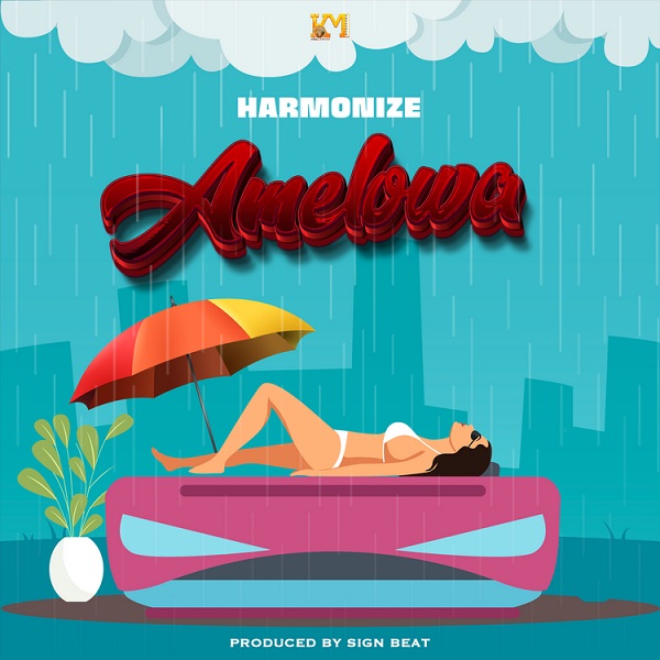 Harmonize Amelowa