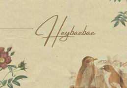 Tee Weirdo Heybaebae