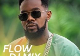 Patoranking Mix
