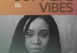 Download Soft Life Vibes Mix ft Fave