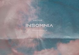 Vector Insomnia
