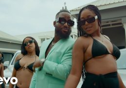 Cassper Nyovest Bana Ba Stout Video