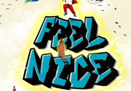Kuami Eugene I Feel Nice