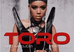 Sho Madjozi – Toro ft. DDG