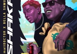 Small Doctor Shaka
