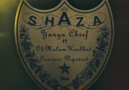 Yanga Chief – Shaza ft. Okmalumkoolkat & Cassper Nyovest