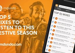 Festive Season Mixes