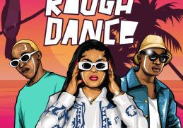 DBN Gogo, Reece Madlisa Rough Dance
