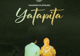 Diamond Platnumz Yatapita