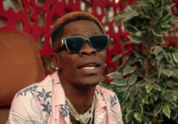 Shatta Wale Adole Video