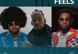 Download Tuesday Feels ft. Skiibii, Mr Eazi, Patoranking on Mdundo