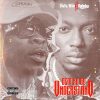 Shatta Wale Understand