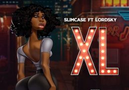 Slimcase Xl