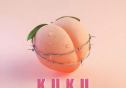 DJ Ally T – Kuku (Quantum Sounds) ft. Shaunmusiq, Ftears & Mellow & Sleazy