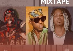 Download Feel Good Mixtape ft. Rema, Spinall, and Young Jonn on Mdundo